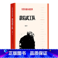 [正版] 敌后武工队 冯志 著 长篇小说 当代文学 平装 红色长篇小说经典 人民文学出版社