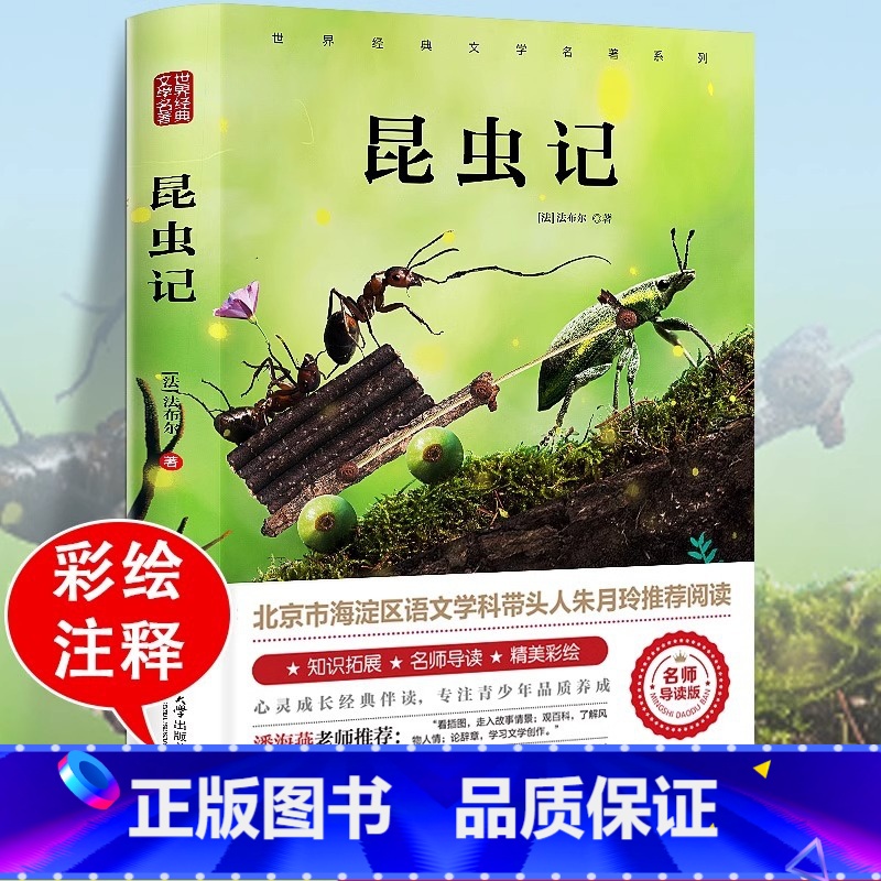 [官方正版]昆虫记 [正版] 昆虫记法布尔小学 彩图美绘四年级上册原著完整版八年级上册阅读课外书必读全套一青少年朱月玲名