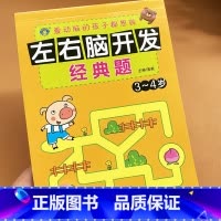 [正版]河马文化左右脑开发经典题3-4岁儿童潜能智力开发书幼儿全脑思维训练注意力专注力记忆力观察力逻辑思维游戏训练书籍