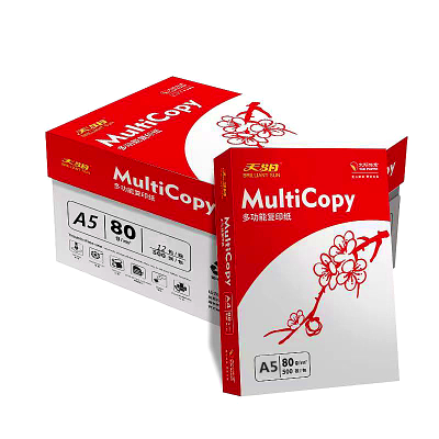 金太阳 天阳80克A5太阳纸业复印纸6000张办公用纸