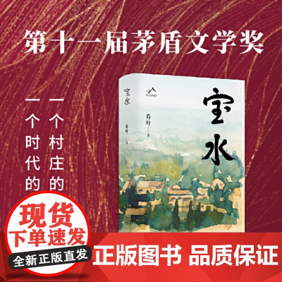 宝水 乔叶著 [第十一届茅盾文学奖获奖作品]70后代表作家的长篇突围之作莫言格非张莉诚挚 正版书籍 北京十月文艺出版社