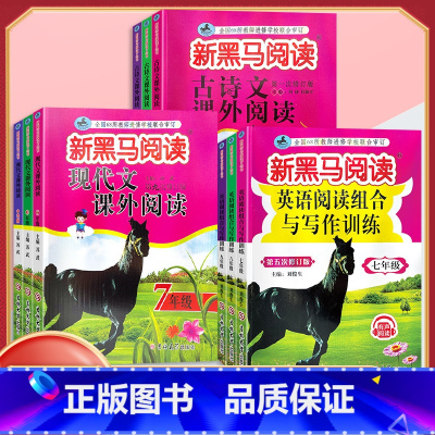 英语阅读与写作 七年级/初中一年级 [正版]2024新版新黑马阅读 现代文课外阅读 初中七7八8九9年级上下册通用 初中