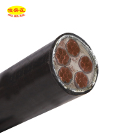 傻实在 电缆 国标全项保检 YJV22 5*35mm² 米