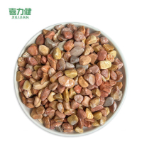 喜力健 黄色砾石 0.9CM*1.2CM 袋