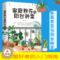 [醉染正版]家庭养花与阳台种菜--阳台花园大棚蔬菜种植技术大全新手农业种植辣椒番茄草莓有机蔬菜技术家庭养花种花 正版技术