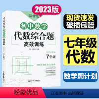 代数综合题[数学] 七年级/初中一年级 [正版] 周计划初中数学计算题几何综合题代数综合题训练7/七年级上下册 思维数学