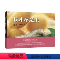 《你发现了吗2》 [正版]3-8岁东方娃娃科普书共2本书4个主题《你发现了吗2》适合阅读照片组成的幼儿园中班大班读物科普