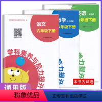语数英[3本] 六年级下 [正版]2023春新版 学科素养与能力提升六年级下册语文数学人教英语湘少版 湖南教育出版社 小
