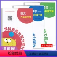 语数英[3本] 六年级下 [正版]2023春新版 学科素养与能力提升六年级下册语文数学人教英语湘少版 湖南教育出版社 小