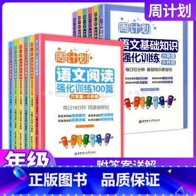 [套装2册]基础知识强化训练+阅读强化训练100篇 小学六年级 [正版]周计划小学语文基础知识强化训练阅读强化训练100
