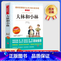 大林和小林 [正版]大林和小林 爱阅读名著课程化丛书青少年小学生儿童二三四五六年级上下册必课外阅读物故事书籍快乐读书吧老