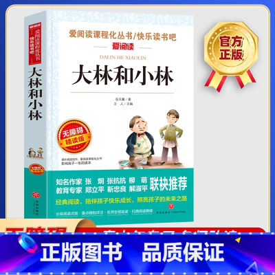 大林和小林 [正版]大林和小林 爱阅读名著课程化丛书青少年小学生儿童二三四五六年级上下册必课外阅读物故事书籍快乐读书吧老