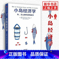 [正版] 小岛经济学 鱼 美元和经济的故事 彼得·D希夫安德鲁·J希夫 著 经济学入门读物 经济经济学启蒙计算机网络