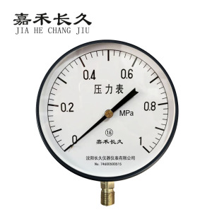 嘉禾长久 压力表检测型 Y200 块