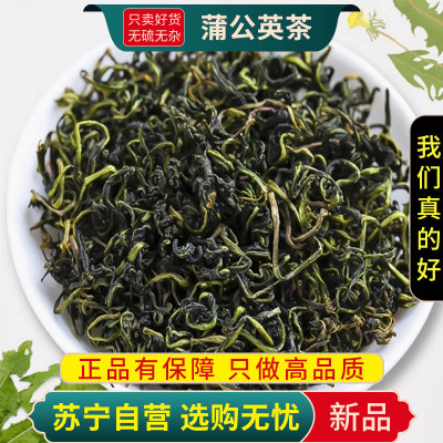 甄选蒲公英茶100克正品散茶干草浦公英叶根官方店煮水泡茶另售枸杞