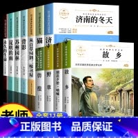 [全套11册]六下阅读+鲁迅作品集 [正版]六年级下册必的课外书读老师推小升初课外阅读书籍荐 适合小学六升国一初一看的读