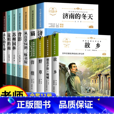 [全套11册]六下阅读+鲁迅作品集 [正版]六年级下册必的课外书读老师推小升初课外阅读书籍荐 适合小学六升国一初一看的读