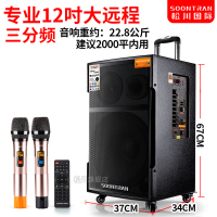 山水(SANSUI) 升级松川SG3-12户外音响广场舞音箱移动拉杆舞台专业音箱大功率无线蓝牙话筒木质音响12英寸
