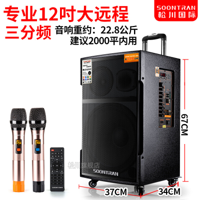 山水(SANSUI) 升级松川SG3-12户外音响广场舞音箱移动拉杆舞台专业音箱大功率无线蓝牙话筒木质音响12英寸