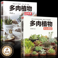 [醉染正版]养花书籍 2册多肉植物这样养 完全图鉴大全 正版家庭阳台院子多肉种植方法技巧 绿植盆景鉴赏养护大全 常见病虫