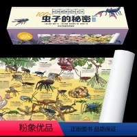 100种虫子的秘密 [正版]墙书:100种虫子+动物+恐龙+植物的秘密儿童6-12岁小学生科普历史大全书英国剑桥大学墙书