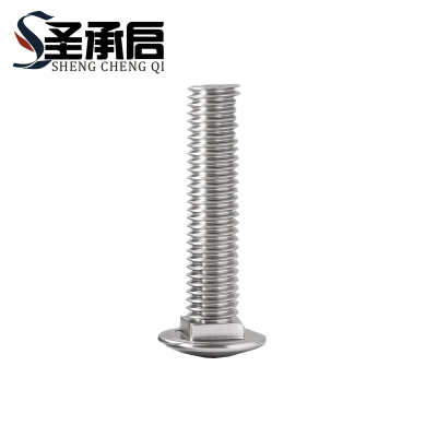 圣承启 不锈钢螺栓 M8*60 个(M8*60)