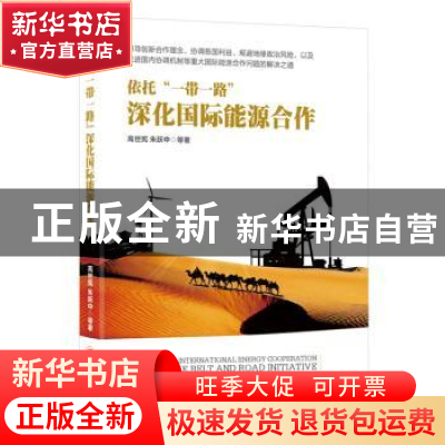 正版 依托“一带一路”深化国际能源合作 高世宪,朱跃中等著 中