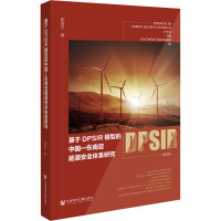 基于DPSIR模型的中国—东南亚能源安全体系研究