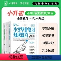 语数英[3册] 小学升初中 [正版]2024新版支点魔方小学毕业复习知识盘点语文数学英语基础六年级考试总复习资料书人教版