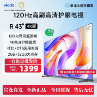 海信Vidda电视 43英寸R43 4K版120Hz高刷 2+32G内存以旧换新家电智能护眼液晶游戏电视43V1ND-R