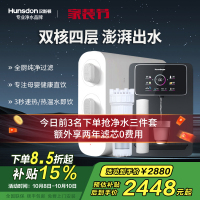 汉斯顿/Hunsdon家用0阻垢剂添加净水器管线机套装厨下式净饮机RO反渗透净水机过滤器母婴直饮厨房纯水机D3