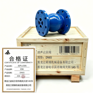 硕臻 消声止回阀 DN65 个