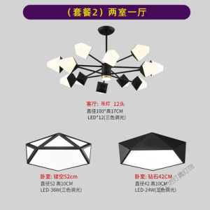苏宁放心购 北欧客厅灯吊灯2020年新款店铺现代简约大气卧室灯创意餐厅灯具