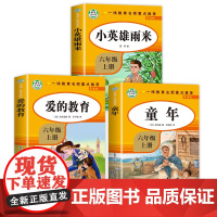 当当正版 小英雄雨来快乐读书吧六年级上册全3册附考点爱的教育童年高尔基原著完整版小学生老师教师语文课外书经典阅读书籍