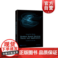 Weakest Bound Electron Theory and Applications(最弱受约束电子理论及应用)