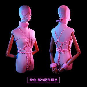 谜姬SM用品情趣道具10件套装调情趣工具玩具捆绑束缚成人性用品 绳子口塞球眼罩项圈乳夹鞭子牵引绳脖套手脚束缚