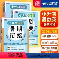 小升初 语数英 全3本 小学升初中 [正版]元远学堂小升初暑假衔接语文数学英语 五六年级小升初真题卷同步基础知识梳理阅读