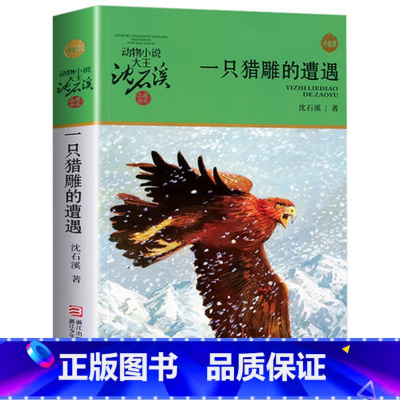 一只猎雕的遭遇 [正版]书店一只猎雕的遭遇 升级版 动物小说大王沈石溪品藏书系 小学三四五六年级课外阅读书籍动物小说 浙