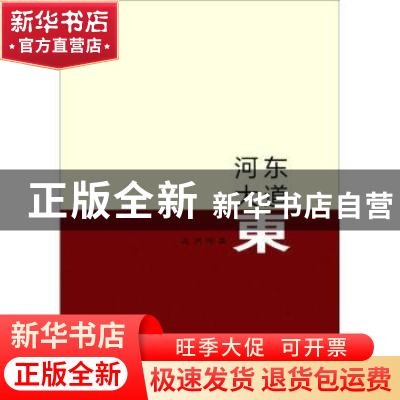 正版 河东大道东 远洲 山西人民出版社 9787203097167 书籍