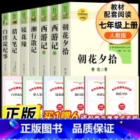 全套7册-七年级上册必读名著(学校推荐版全册) [正版]七年级上册必读书全4册 镜花缘猎人笔记湘行散记白洋淀纪事原著人民