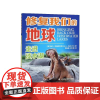 走进淡水湖