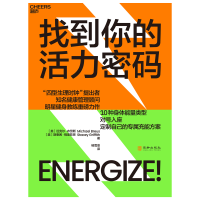 音像找到你的活力密码[美]迈克尔·布劳斯 斯泰茜·格里菲思