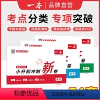 [三本]套装 小学升初中 [正版]一本冲刺小升初三步分类练真题 小升初总复习试卷 一本小升初冲刺新卷 语文数学英语名校冲