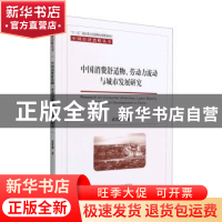 正版 中国消费舒适物劳动力流动与城市发展研究 武优勐著 经济科