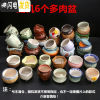 三维工匠多肉陶瓷花盆批发肉肉大号紫砂创意个性小多肉花盆 百款随机多肉盆6个(7-9左右) 小花盆容器