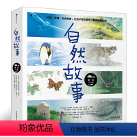 自然故事第一辑 [正版]自然故事第一二三辑4-8岁儿童自然科普启蒙绘本 浪花朵朵童书 亲子共读故事绘本
