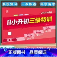 语文[全国版] 小学升初中 [正版]2024版小升初三级特训语文数学英语全国版小学升初中总复习教程小升初毕业练习簿测试真
