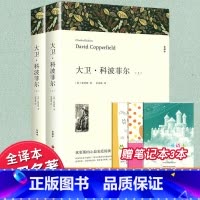 大卫科波菲尔上下册 [正版]中文无删减共1072页大卫科波菲尔上下册世界十大名著原著高中生全译本无删节 宋兆霖译世界文学