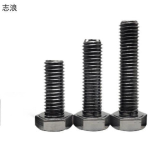 志浪 六角头螺栓12*50 个