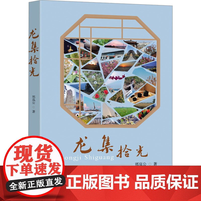 龙集拾光 郑岚公著 著 杂文 文学 东南大学出版社